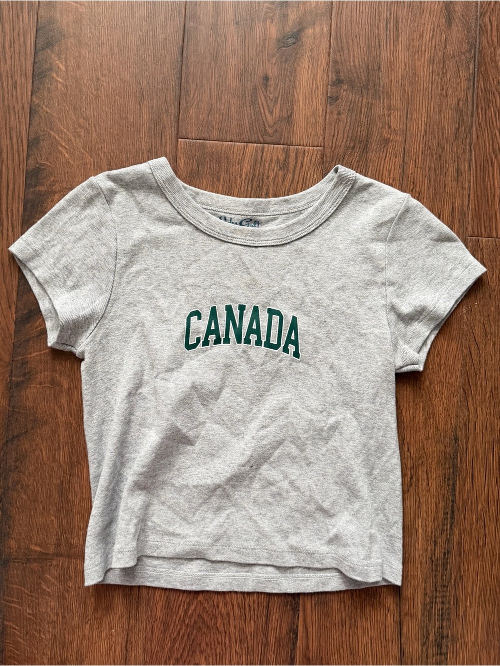 Brandy Melville Heather Gray Shirt with Green Canada Graphic